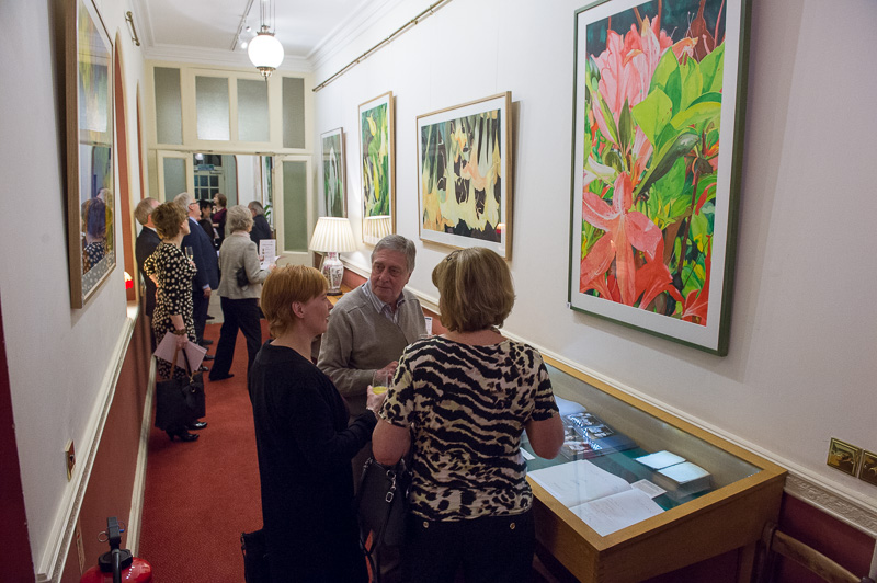  Vibrant Rhododendrons Exhibition Image